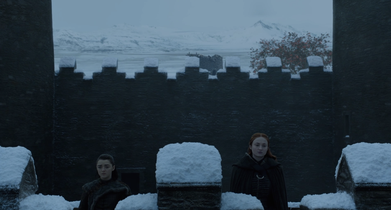 No shade, this is a painterly-ass shot